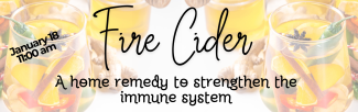 Fire Cider a home remedy to strengthen the immune system